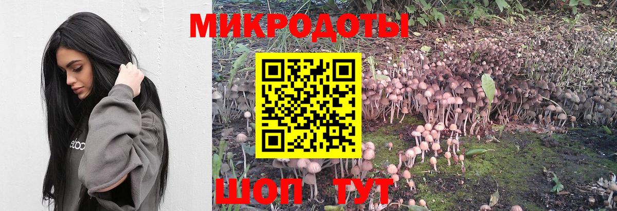 Нефтекумск  Галлюциногенные грибы мухоморы  где продают наркотики  Вход с VPN 
