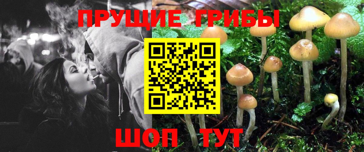 Галлюциногенные грибы MAGIC MUSHROOMS Нефтекумск
